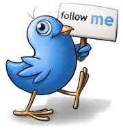 Follow Allen Wolfe on Twitter